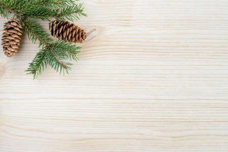 Christmas natural background with fir branches and cones, copy space for textの写真素材
