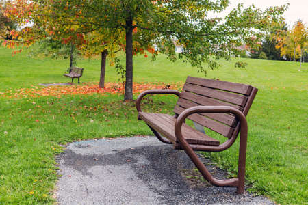 Autumn scenery in local public park after rain. Bench and trees with fallen colored leaves in the backgroundの写真素材