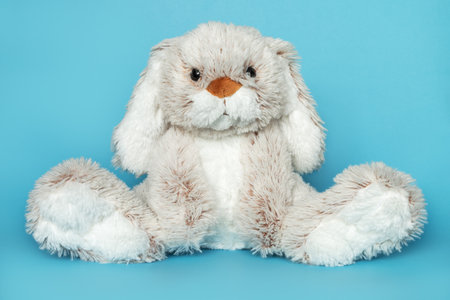 Stuffed soft toy on blue background. Easter concept. Cute white toy sitting on colored background.の写真素材