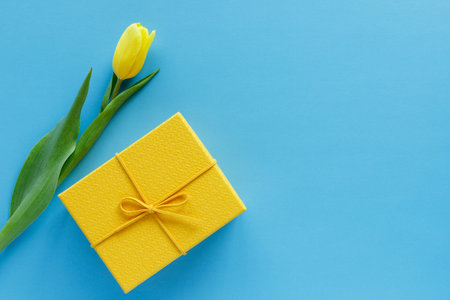 Yellow tulip and gift box on blue background with copy space for text. Holiday concept. Present and flower flat layの写真素材