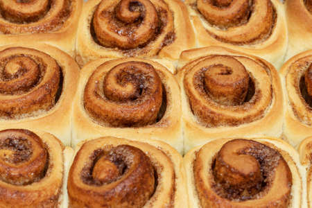 Homemade sweet cinnamon rolls. Close Up of freshly cooked buns.の写真素材