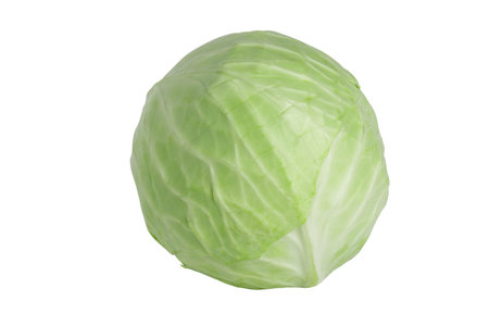 Green round cabbage isolated on white background. Close up of cabbagehead.の写真素材