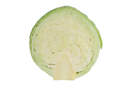 Green round cabbage cut in half, isolated on white backgroundの写真素材