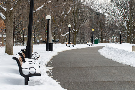 Ottawa, Canada - January 23, 2023: Road in Major's Hill Park in winter season. City park with snow in downtownのeditorial素材