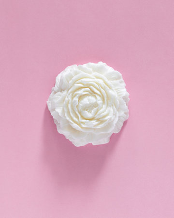 White flower handmade soy candle isolated on pink background.の写真素材