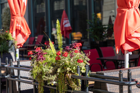 Restaurant patio outdoors. Cafe terrace with fresh flowers, chairs and tables on a sunny day. Outdoors street flower decor.の写真素材