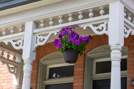 Front porch with blooming summer flowers in a pot.の写真素材