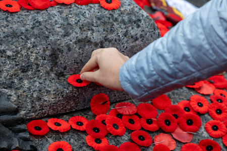 Remembrance Day in Canada. People placing poppy flowers on Tomb of the Unknown Soldier in Ottawa.の写真素材