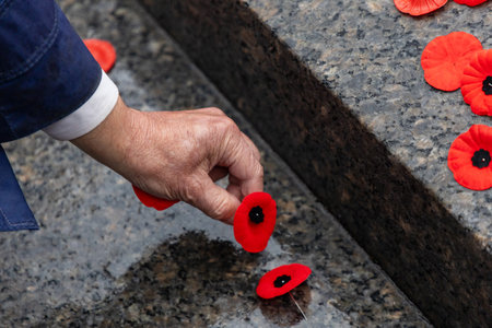 People laying red poppies on the Tomb of the Unknown Soldier during Remembrance Day in Ottawaの写真素材
