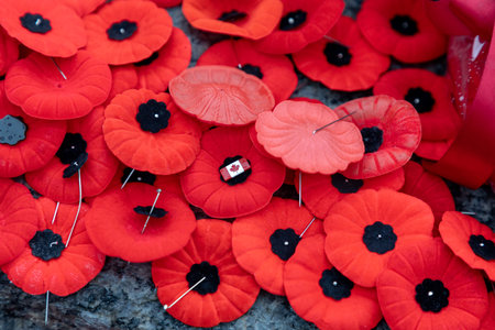Remembrance Day red poppy flowers on Tomb of the Unknown Soldier in Ottawa, Canadaの写真素材