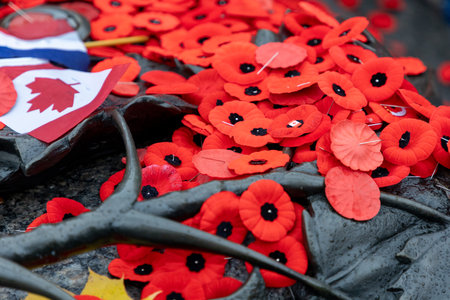 Remembrance Day red poppy flowers on Tomb of the Unknown Soldier in Ottawa, Canadaの写真素材