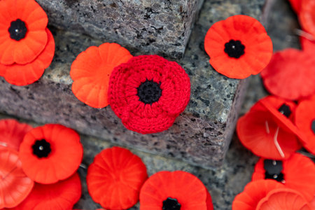 Canadian Remembrance Day red poppy flowers.の写真素材