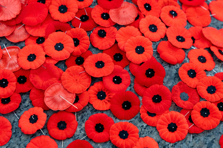 Canadian Remembrance Day red poppy flowers close up background.の写真素材
