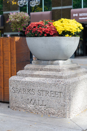 Sparks Street Mall in downtown of the city with flowers in autumn seasonの写真素材