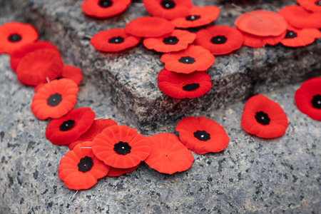 Remembrance Day, red poppies on the Tomb of the Unknown Soldier, National War memorial in Ottawa, Canada.の写真素材