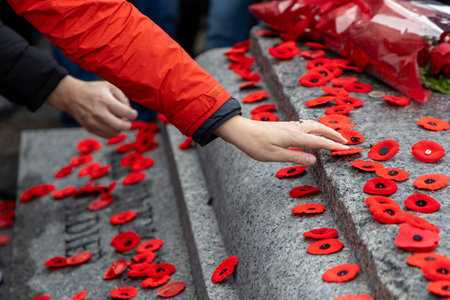 Remembrance Day in Canada. People pacing poppies on Tomb of the Unknown Soldier in Ottawaの写真素材