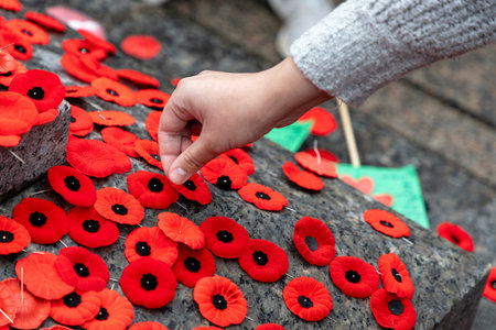 Remembrance Day in Canada. People placing poppy flowers on Tomb of the Unknown Soldier in Ottawa. Memorial in Canadian capital cityの写真素材