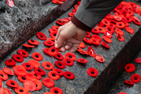 Hand placing red poppy flowers on war memorial on Remembrance Day in Ottawa, Canadaの写真素材