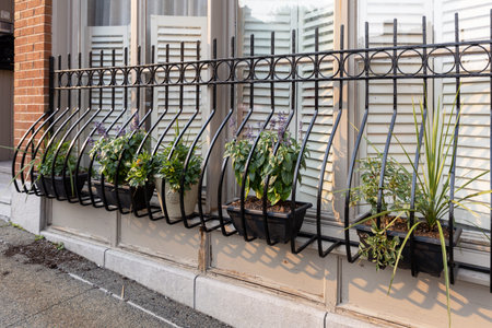 Decorative window flower boxes with plants on iron railing outside residential building in Montreal....