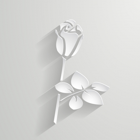 white paper rose のイラスト素材