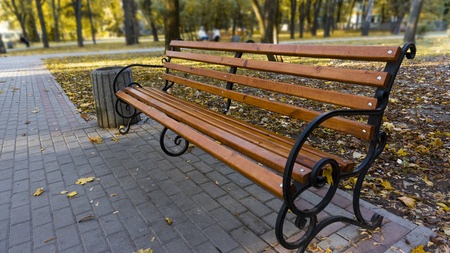 Bench in autumn park. Autumn landscapeの写真素材