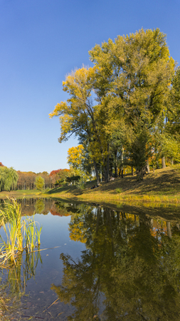 Beautiful fall colors reflect off a pond. Autumn park .の写真素材