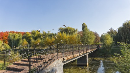 Iron bridge in an autumn park. reflect off a pond.の写真素材