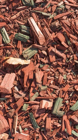 Texture background of fine red color wood chipsの写真素材