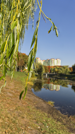 Beautiful fall colors reflect off a pond. Autumn park with high building.の写真素材
