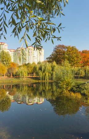Beautiful fall colors reflect off a pond. Autumn park with high building.の写真素材