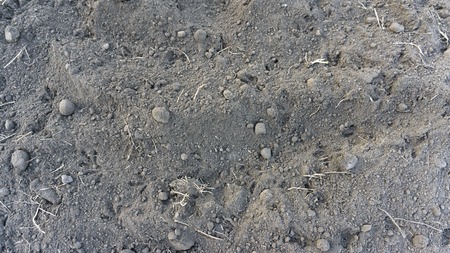 Ground in park on grass in the morning, below zero temperature. Top view backgroundの写真素材