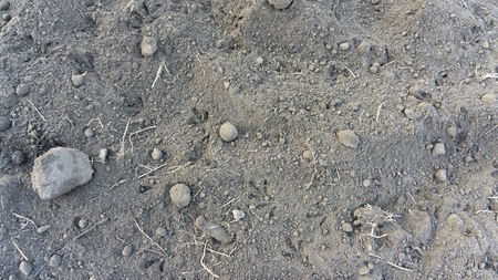Ground in park on grass in the morning, below zero temperature. Top view backgroundの写真素材
