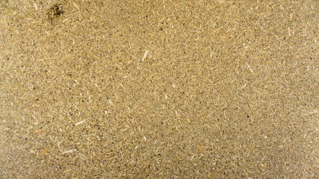 Stock macro photo of the texture of wood.の写真素材