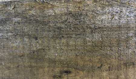 Stock macro photo of the texture of wood.の写真素材