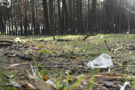 A transparent plastic Cup in the forest. Problem of ecology.の写真素材