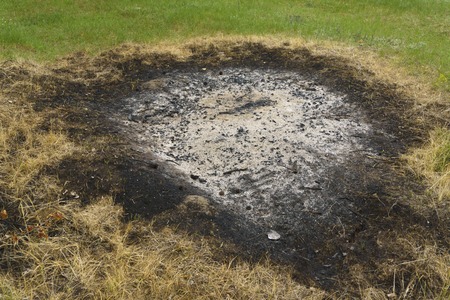 ashes of the burnt grass. Plant ash on the field after the fire burned.の写真素材
