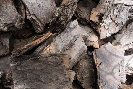 Crushed tree bark texture background closeup.Pieces of trunk.Old tree bark background or texture.Shredded brown tree bark for decoration and mulching or for playgroundの写真素材