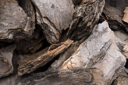 Crushed tree bark texture background closeup.Pieces of trunk.Old tree bark background or texture.Shredded brown tree bark for decoration and mulching or for playgroundの写真素材