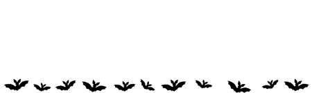 Black silhouettes of bats. Cave black bats group on white Halloween background. Silhouettes of flying bats traditional Halloween symbols on whiteの写真素材