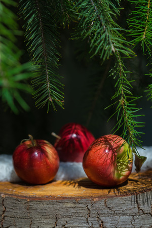 Christmas winter background three red apples lying on old stump tree under green branches of fir tree with white snow. Christmas winter backgroundの写真素材