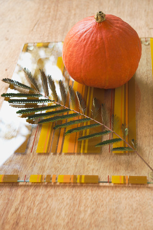 Autumn still life with pumpkin fall leaves on glass tray orange and yellow colors. Happy Thanksgiving design.の写真素材