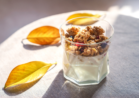 Ideas for healthy autumn breakfast. Greek yoghurt with granola, dried berries in glass and yellow leaves. Gray background with rustic style cloth. Top view copy space lifestyle bloggingの写真素材