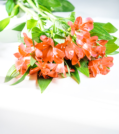 Flowers lily in Panton color of the year 2019 - Living Coral. Livingcoral. Romantic bouquet for Valentines day dinner celebration wedding on white background. toned. close up, copyspace. trendの写真素材