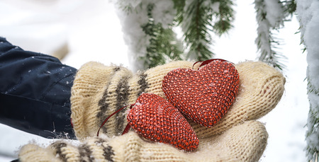 Two red textile hearts and hands in mittens on heavy snowy fir branch background, red brick house....