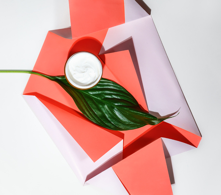 Creative layout made of green tropical leaf, cream on paper of living coral color on whiteの写真素材