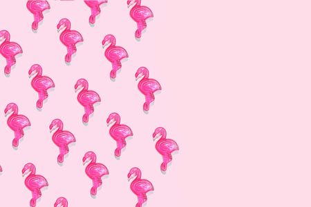 Pink Flamingo toy pattern on pastel pink  with copy space.の写真素材
