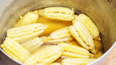 Boiled corns from local market in Cusco, Peru. Staple food for Inca and Maya people around Central and South America. White and yellow corns are ready to eat.の写真素材
