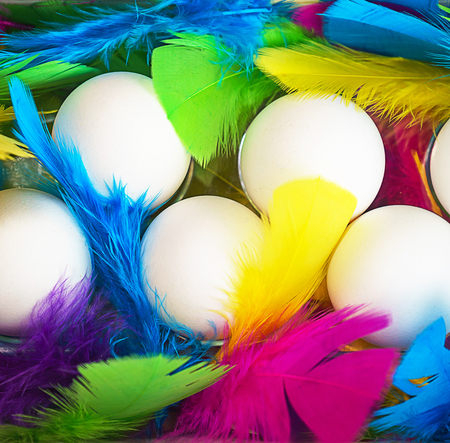 Creative layout made of white chicken eggs with colorful feathers trendy neon colors. Spring and Easter holiday party concept with copy space. Flat lay, top view, close up.の写真素材