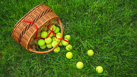 Tennis Easter with tennis balls in a basket on green grass. Selective focus, copy space.の写真素材