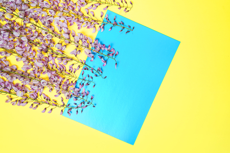 Beautiful purple pink wisteria flower branch with blossoms buds and blue paper card note on yellow background. Minimal spring and summer composition. Flat lay, top view.の写真素材